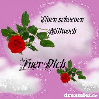 ext. Bild