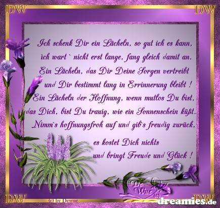 ext. Bild